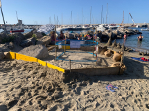 Salgono a 16 i nidi di tartaruga marina Caretta caretta in Toscana (la "punta" di 6 all'Elba)