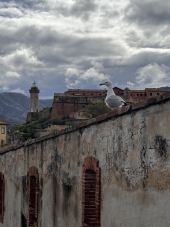 La Foto del Giorno (27 apr.)