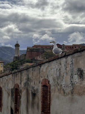 La Foto del Giorno (27 apr.)