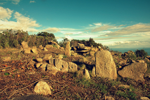 La Leggenda di Piane alla Sughera a Seccheto: l&#039;Antico Mistero