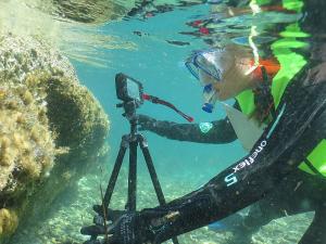 Al Parco l'evento conclusivo del corso Environmental Marine Biology &amp; Sustainability