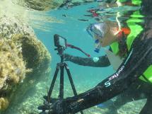 Al Parco l'evento conclusivo del corso Environmental Marine Biology &amp; Sustainability