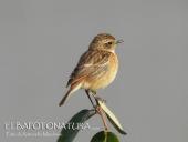 La Foto del Giorno (11 mar.)