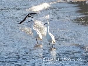 La Foto del Giorno (30 gen.)