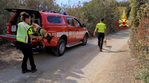 Ricerche della donna scomparsa, il ringraziamento dl Sindaco Barbi a chi ha partecipato