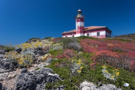 Foto di Roberto Ridi