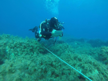 10 minuti sott’acqua per il cambiamento climatico: all’Elba il progetto Climate Change Days coinvolge i diver nella ricerca scientifica