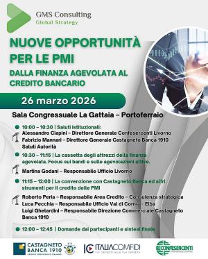 Nuove opportunità per le PMI: dalla finanza agevolata al credito bancario