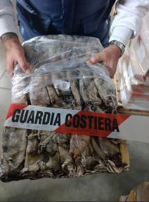Guardia Costiera sequestra prodotti ittici mal conservati. Ristorante elbano chiuso temporaneamente