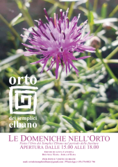 Le Domeniche nell'Orto - Aperture extra per visitare l'Orto dei Semplici nel periodo delle fioriture