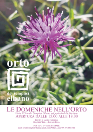Le Domeniche nell'Orto - Aperture extra per visitare l'Orto dei Semplici nel periodo delle fioriture