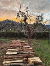 La Foto del Giorno (5 gen.)