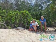 Dall’Elba alle Seychelles: le tartarughe marine uniscono due arcipelaghi lontani