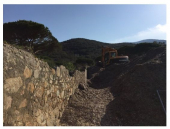 L'irrisolto problema delle posidonie secche a Spartaia