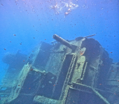 La Foto del Giorno (24 mag.)