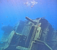 La Foto del Giorno (24 mag.)