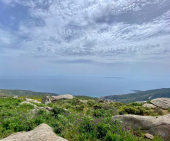 La Foto del Giorno (27 mag.)