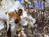 La Foto del Giorno (22 mar.)