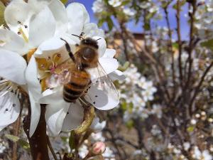 La Foto del Giorno (22 mar.)