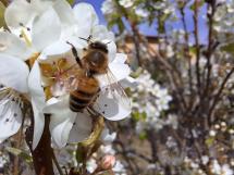 La Foto del Giorno (22 mar.)