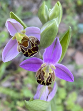 La Foto del Giorno (23 apr.)