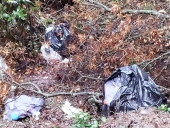 Ancora una protesta per i rifiuti nei boschi