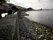 L'epidemia marinese dell'Opossum