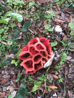 La Foto del Giorno (15 ott.)