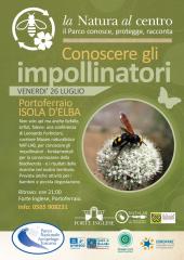 Conoscere gli impollinatori, a Forte Inglese il prossimo appuntamento del Festival “La natura al Centro”