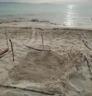 Due nidi di Tartaruga sulla Spiaggia di Cala San Giovanni e Pianosa: una missione e un’emozione