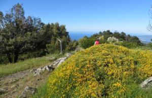 GTE nel Parco Nazionale: occorre intervenire su alcuni tratti