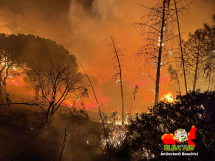 Incendio a Rio Elba, Coldiretti: "ci vorranno 15 anni per ripristinare le zone verdi distrutte dalle fiamme"