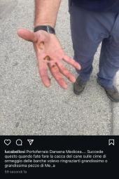 A Sciambere: Come e dove ti deposito la cacca di Fido, sulle cime in darsena e davanti al negozio