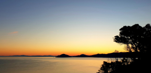 La Foto del Giorno (7 apr.)