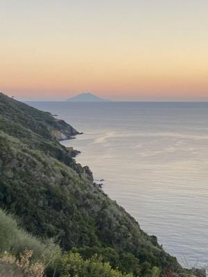 La Foto del Giorno (12 nov.)