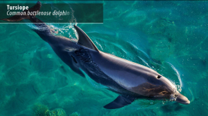 Il Parco Nazionale Arcipelago Toscano e l&#039;Isola di Capraia nelle case history dell&#039;European Tourism day a Bruxelles