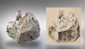 Le tavole a colori delle Tormaline elbane al Museo Bombicci di Bologna