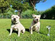 L'Isola d'Elba sul podio del Dog Sport Experience 2022 con Let's Dog ASD