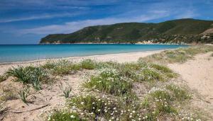 Un appello alle istituzioni: rendiamo possibile a tutti il piacere di raggiungere il mare
