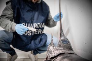 “FISH_NET”, operazione complessa nazionale della Guardia Costiera