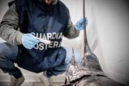 “FISH_NET”, operazione complessa nazionale della Guardia Costiera