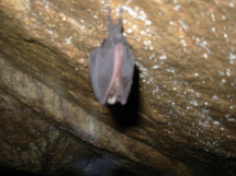 La leggenda santilariese della Grotta delle Streghe