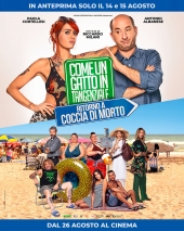 Anteprima nazionale del film  "Come un gatto in tangenziale" al cinema all'aperto marinese
