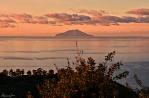 La Foto del Giorno (4 feb.)