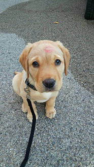 Baci - La Foto della Settimana è di Sara Autuori