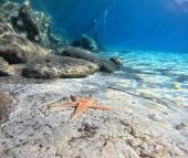 La Foto del Giorno (18 ott.)