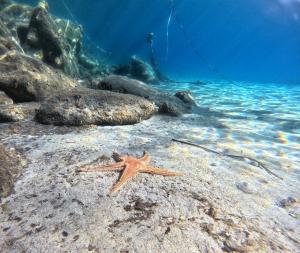 La Foto del Giorno (18 ott.)