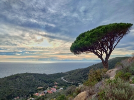 La Foto del Giorno (3 feb.)