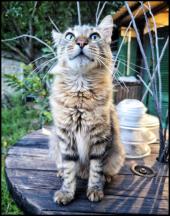 La Foto del Giorno (10 sett.)