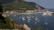 Street Food Marinese: appuntamento questa sera di domenica dalle 19